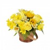 The radius yellow basket